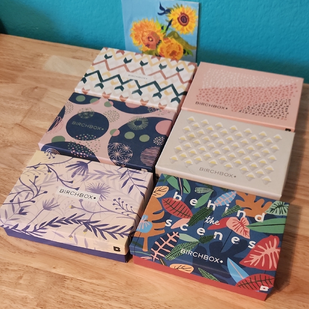 Birchbox - Set of Six Colorful Boxes with Cushion, Empty